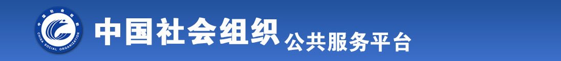 中文在线中文资源全国社会组织信息查询